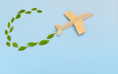 Reducing Carbon Footprint in the Travel Industry